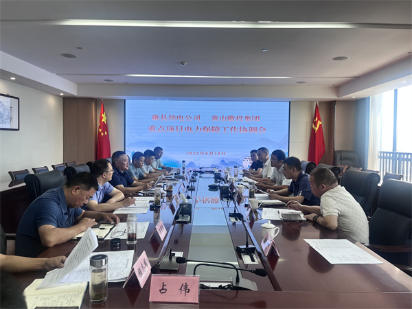 6月18日，歙縣供電公司總經理張杰帶隊赴集團就重點項目電力保障工作進行座談交流，洪董、潘總、余總、張總，市政、逸寧等單位參加座談。.jpg