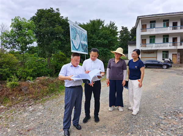 7月11日，洪董陪同縣委王坤副書記一行調研斯干苗圃.jpg